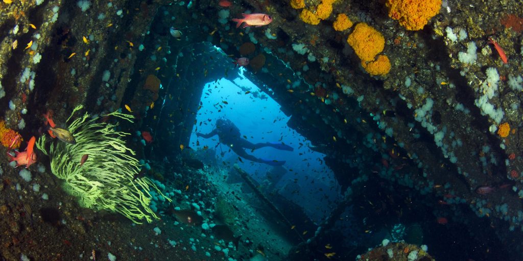 A view of the Aliwal Shoal off the coast of Scottburgh, near the Anchored Inn